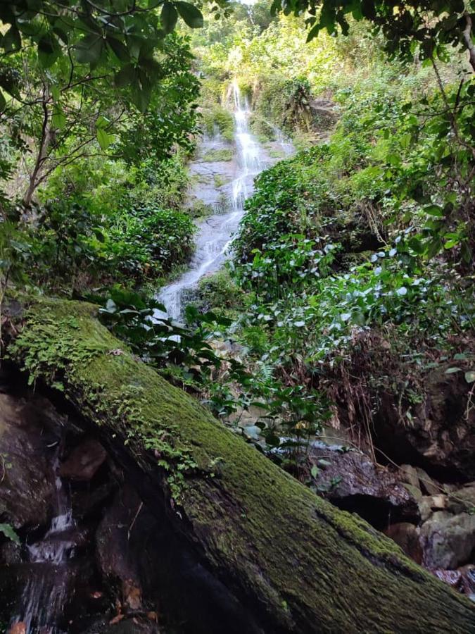 Maison Au Calme Dans La Nature Kpalimé Buitenkant foto