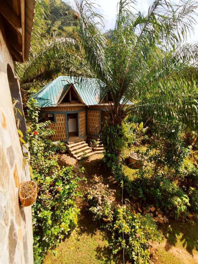 Maison Au Calme Dans La Nature Kpalimé Buitenkant foto