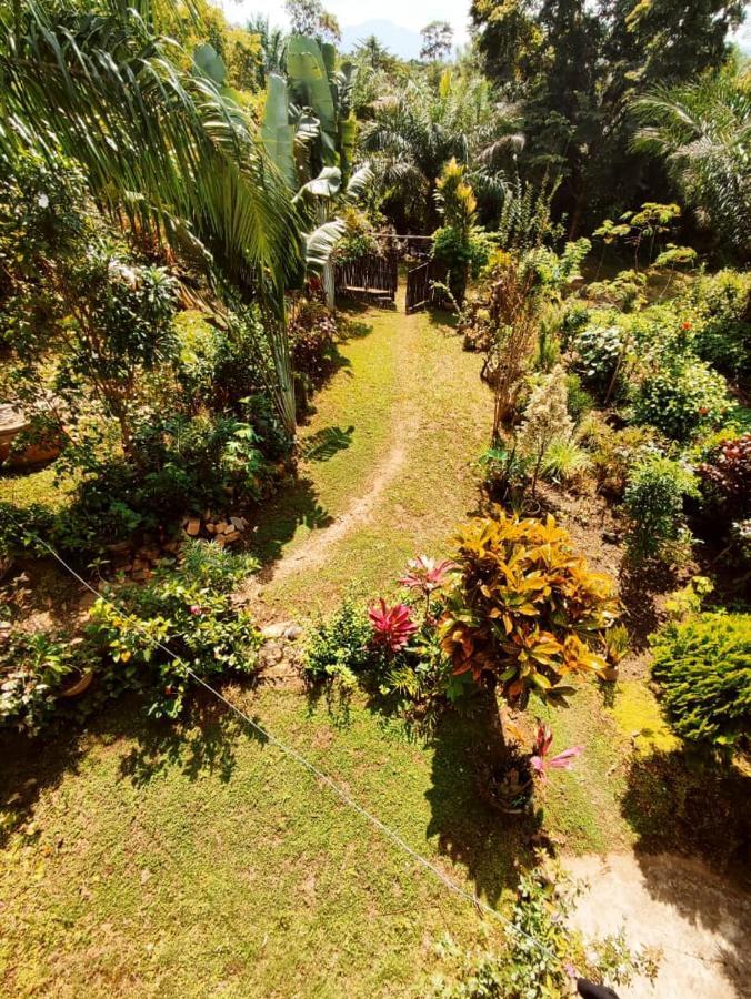 Maison Au Calme Dans La Nature Kpalimé Buitenkant foto