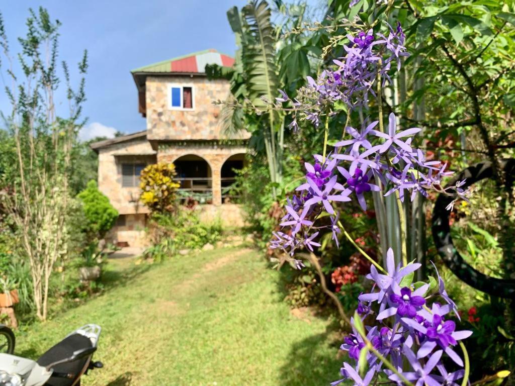 Maison Au Calme Dans La Nature Kpalimé Buitenkant foto